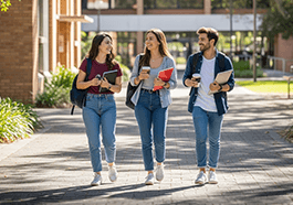 Universitarios