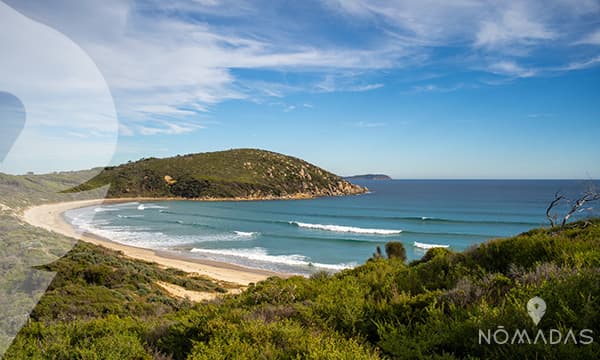 Playas australianas