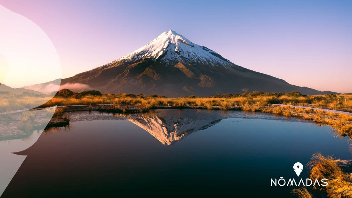 ¿Cuánto cuesta vivir en Nueva Zelanda? La guía definitiva para latinos en 2025