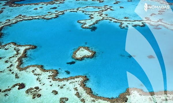 Gran barrera de coral Australia