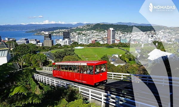 Tranvía (Light rail) en Sydney