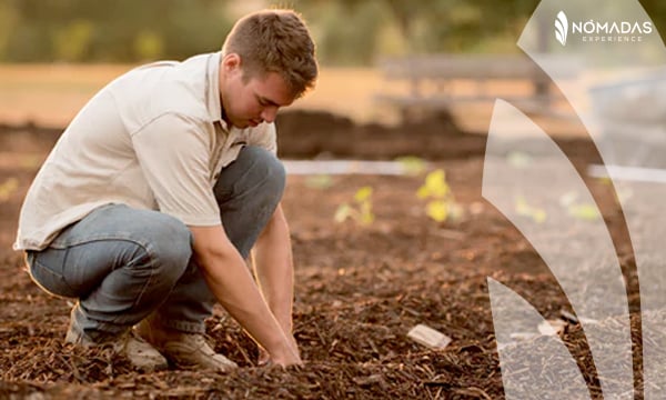 ¿En qué consiste el programa nacional de empleo para trabajadores agrícolas NFJP?