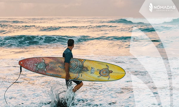 Surfear en la playa Bondi