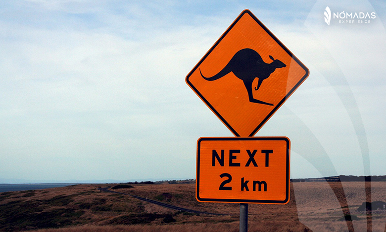 オーストラリアでの生活情報