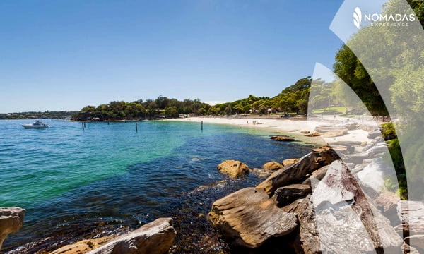 Nielsen Park Beach- Sydney