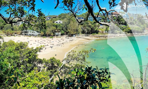 Shelly Beach- Sydney