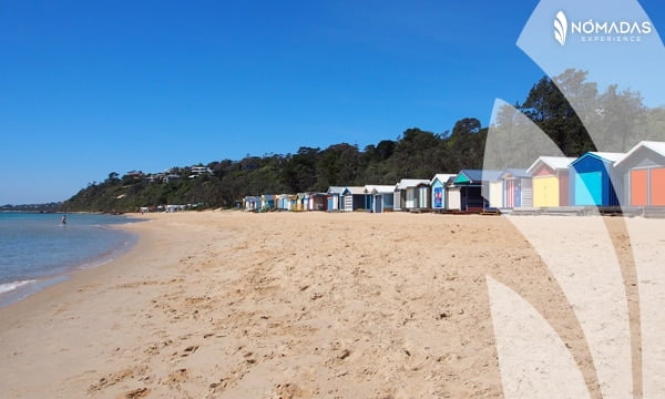 Mothers Beach , Melbourne