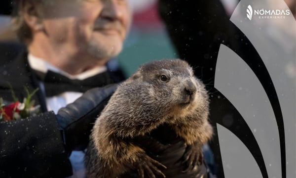 Día de la marmota en Canadá