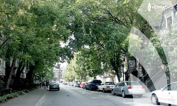 Vivir en Montreal_McGill Ghetto