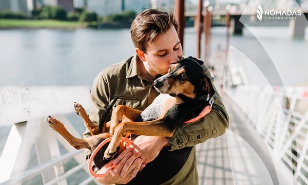 viajar con tu mascota a Canadá