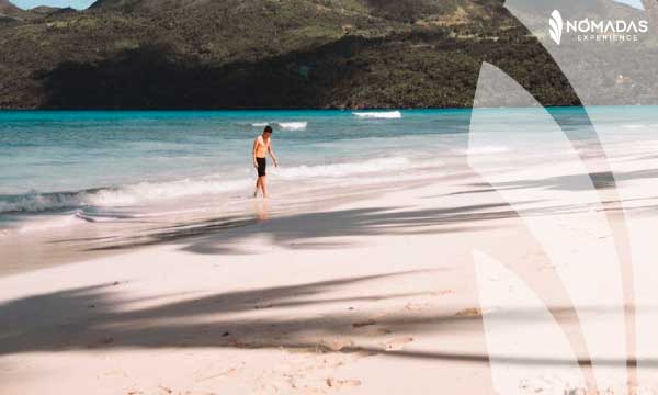 ¡Vida de playa al mejor estilo australiano!