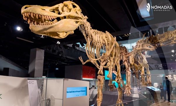 Conoce los museos -Consejos para viajar a Canadá