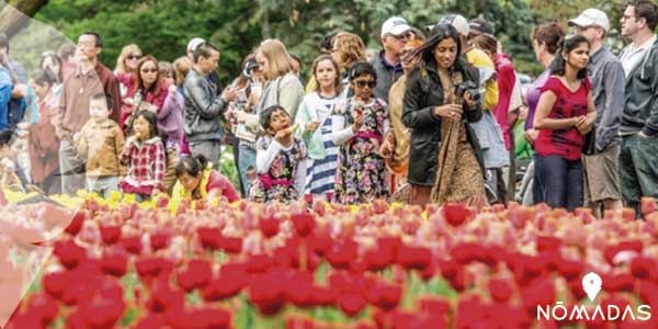 Festival Canadiense del Tulipán