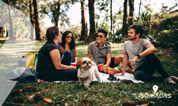 Atrévete a viajar a Nueva Zelanda con la ayuda de Nómadas Experience