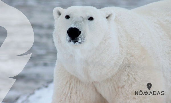 Lugares románticos de Canadá -Churchill, Manitoba, Canadá