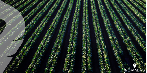 Mejores trabajos para Canadá: Agrónomo