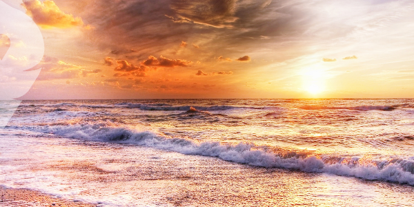 ¿Qué ver en Houston?  Disfruta de un día de playa en Sylvan Beach Park