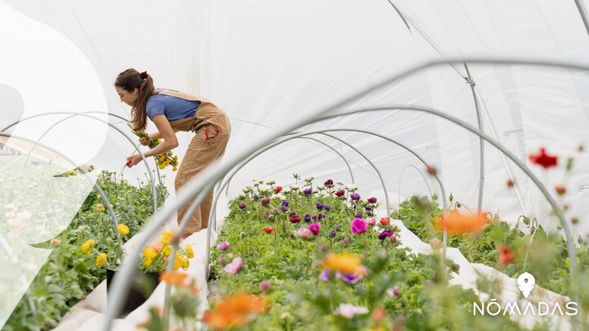 Work And Holiday Visa Australia