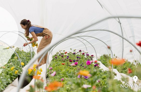 Work And Holiday Visa Australia