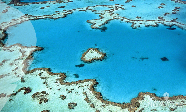 La Gran barrera de Coral Australia