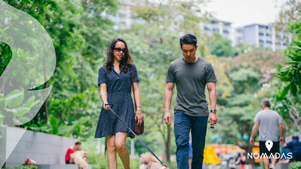 Viajar con tu mascota a Australia