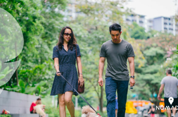 Viajar con tu mascota a Australia