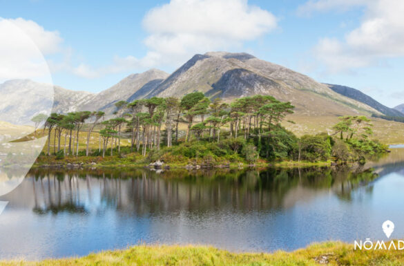 Vivir y estudiar en Galway