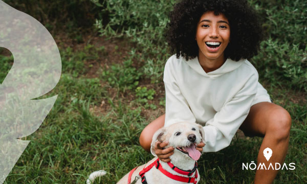 Trabajos mejores pagados en Canadá - Paseador de perros