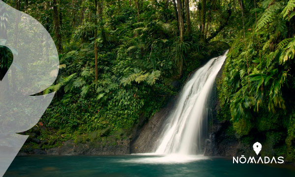 Lugares más románticos de Nueva Zelanda: Romance en la selva Te Waonui