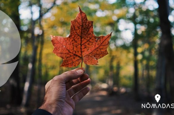 emigrar a canada desde mexico