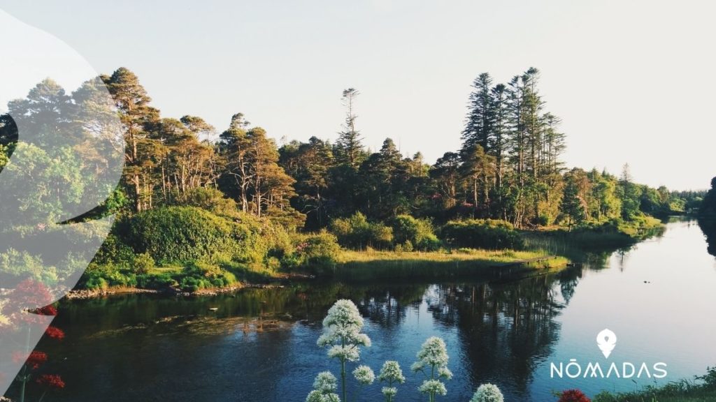 Razones para vivir en Irlanda