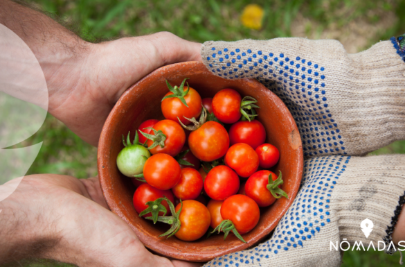 Trabajar en una granja en Australia