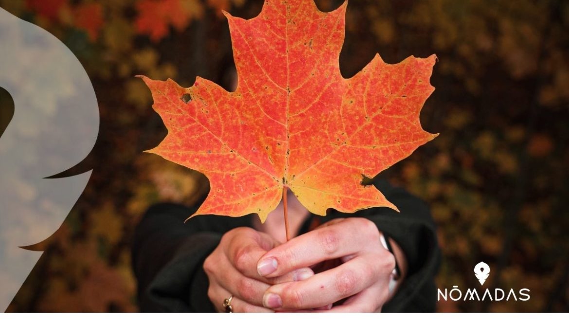 ventajas de estudiar en Canadá
