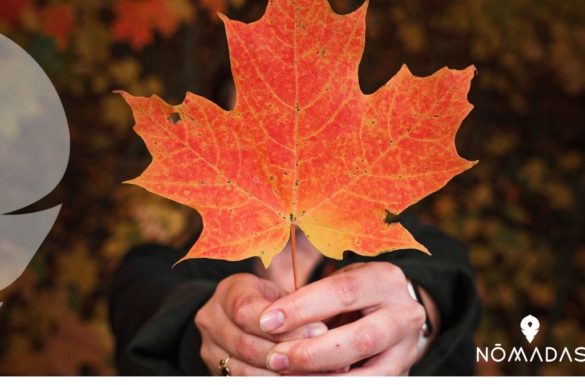 ventajas de estudiar en Canadá