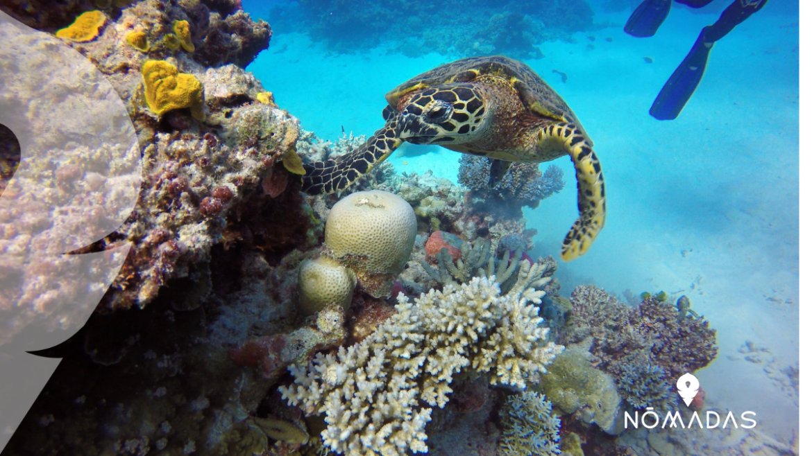 lugares impresionantes de Australia