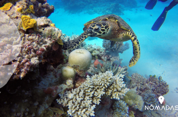 lugares impresionantes de Australia