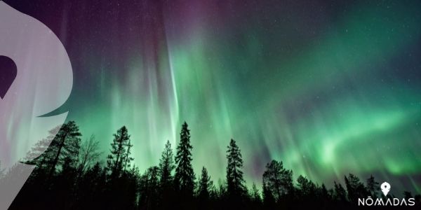 Deléitate con las auroras australes en Dunedin