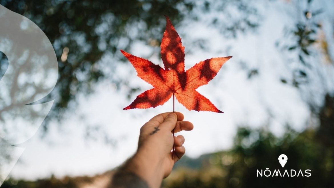 Vivir y estudiar en Canadá españoles