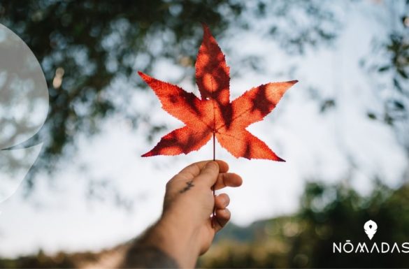 Vivir y estudiar en Canadá españoles