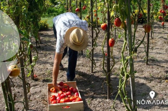 mi experiencia trabajando en Australia