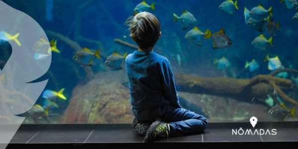 Acuario de Vancouver