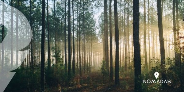 Buskett y Dingli - Bosques y campos en Malta