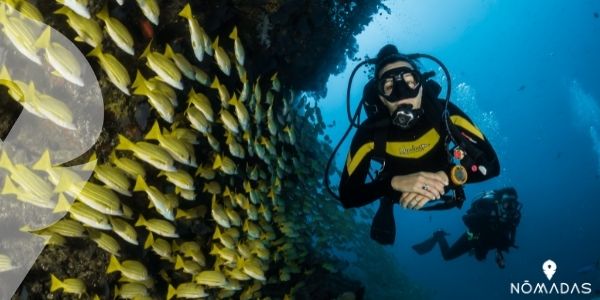 Buceo en la Gran Barrera de Coral de Australia