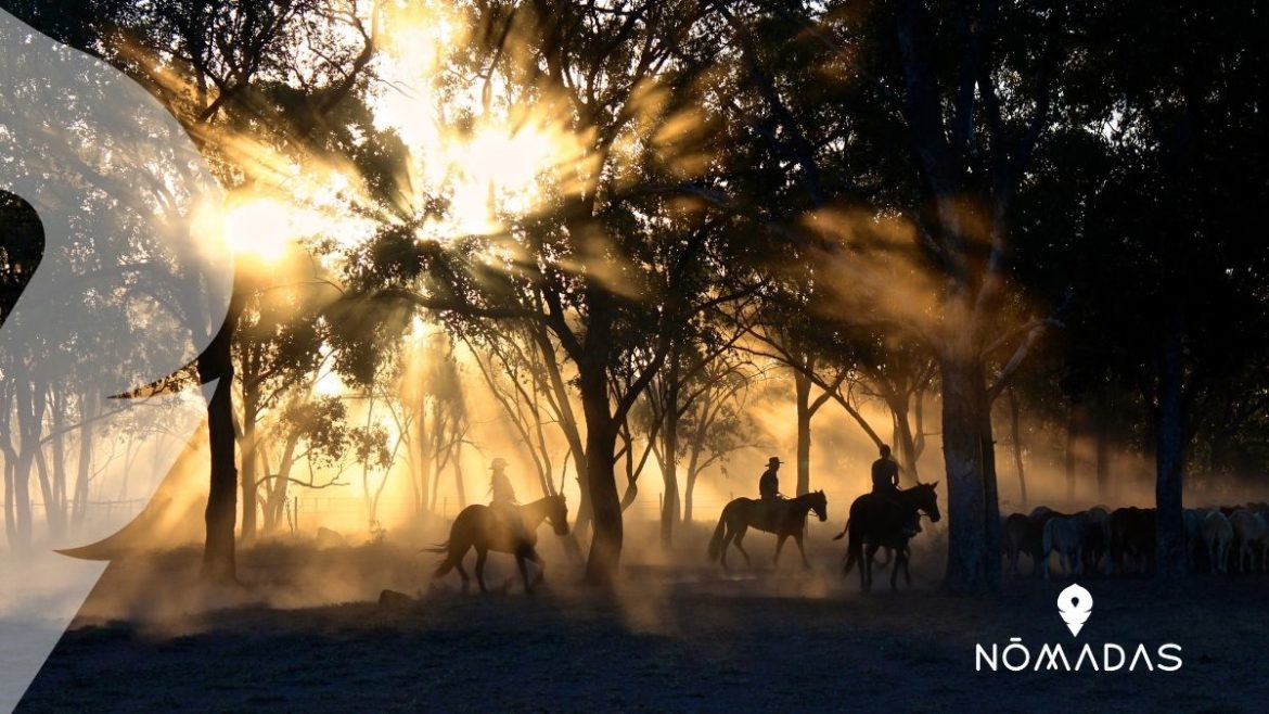 Historia de los aborígenes australianos