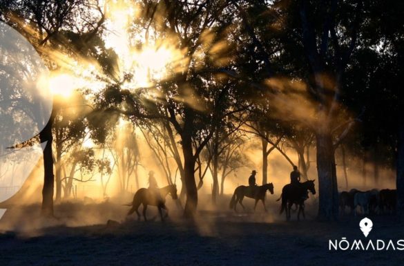 Historia de los aborígenes australianos