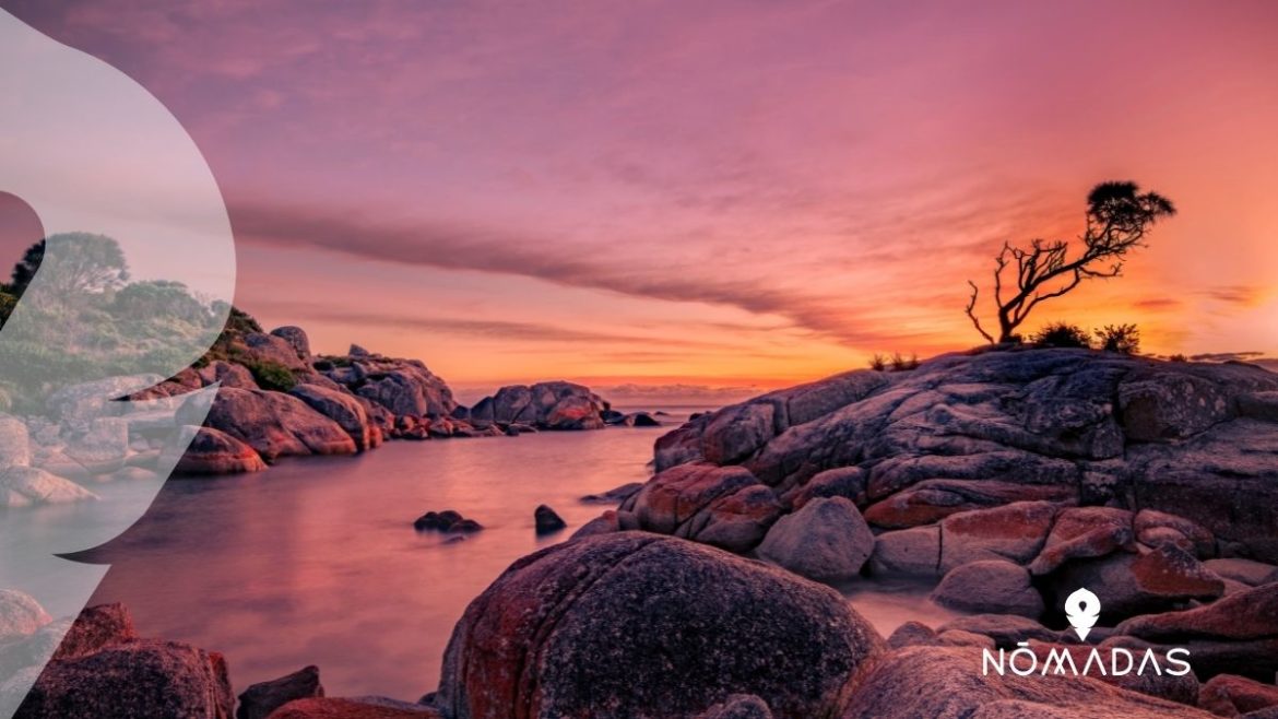 Isla de Tasmania Australia