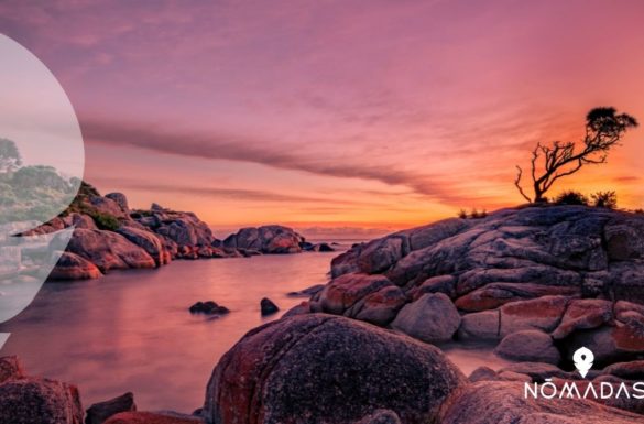 Isla de Tasmania Australia