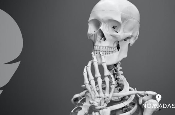 Partes del cuerpo en inglés