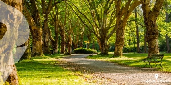 Parque Hermann, un pulmón verde en la ciudad