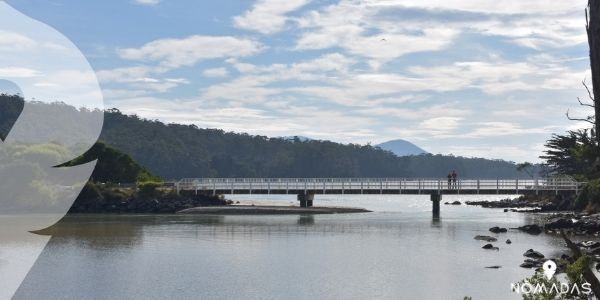 Ventajas y desventajas de vivir en la isla de Tasmania